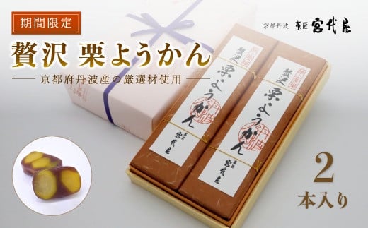 贅沢 栗ようかん2本入り 京都 綾部 和菓子 贈り物 贈答 プレゼント ギフト 手作り 栗 くり 大栗 小豆 こしあん 銀寄栗 羊羹 プレゼント 丹波 スイーツ 栗羊羹