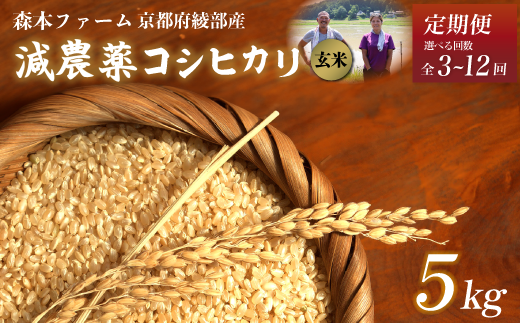 [定期便3〜12回][令和6年産]新米 減農薬コシヒカリ 玄米 5kg[ 定期便 毎月お届け 3ヶ月 6ヶ月 12ヶ月 米 コシヒカリ こしひかり 5キロ 5kg 玄米 こめ コメ お米 おこめ 農家直送 減農薬 低農薬 綾部 京都 森本ファーム ]