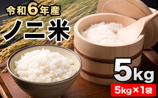 令和6年産  ひのひかり(ノニ米) 約5kg(5kg×1袋) コノCAFE《30日以内に出荷予定(土日祝除く)》 1405466 - 熊本県玉東町