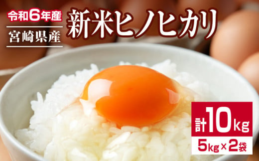 新米 ヒノヒカリ 計10kg 5kg 2袋 期間限定 宮崎県産 お米 ご飯 ライス 国産 令和6年産 人気 食品 精米 白米 ひのひかり 有洗米 おにぎり お弁当 炊き込みご飯 雑炊 ギフト 贈り物 贈答 産地直送 宮崎県 日南市 送料無料_E49-24 1037328 - 宮崎県日南市