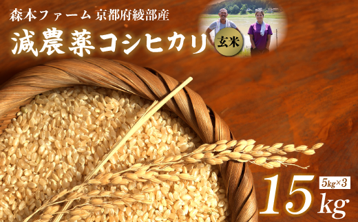 【令和7年度産 先行予約】 減農薬コシヒカリ 玄米 15kg 【 米 コシヒカリ こしひかり 15キロ 15kg 玄米 こめ コメ お米 おこめ 農家直送 減農薬 低農薬 綾部 京都 森本ファーム 】