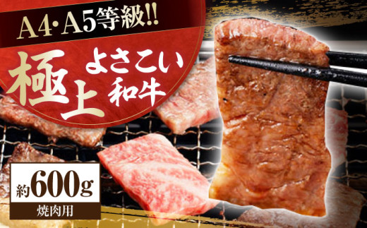 高知県産 よさこい和牛 焼肉用 約600g 牛肉 国産 焼き肉 BBQ A4 A5 【(有)山重食肉】 [ATAP063] 878521 - 高知県高知市