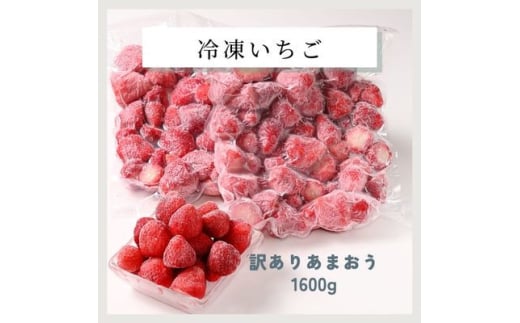 「訳あり」福岡県産ブランド＜あまおう＞冷凍いちご1600g(吉富町)【1523907】 1539983 - 福岡県吉富町