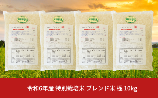 ブレンド米 極 10kg 白米 コシヒカリ 新之助 ミルキークイーン 新潟県産 令和6年産 [佐藤農産有機センター]【018S044】 1036212 - 新潟県三条市