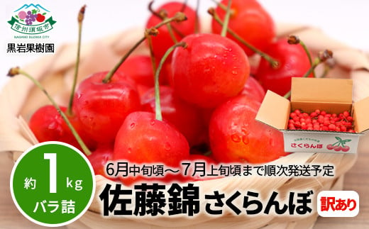 [No.5657-2554]佐藤錦 さくらんぼ 訳あり 約1kg (バラ詰) 《黒岩果樹園》■2025年発送■※6月中旬頃～7月上旬頃まで順次発送予定 1060109 - 長野県須坂市