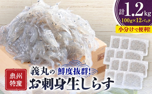 ＜100g×12パック＞義丸のお刺身生しらす　1.2kg　泉州特産『義丸のだんじりしらす』_ しらす 生しらす シラス 刺身 小分け 冷凍 岸和田 だんじりしらす 新鮮 泉州 特産 パック 個包装 国産 産直 便利 海鮮 人気 おすすめ 【1518569】 1483881 - 大阪府岸和田市