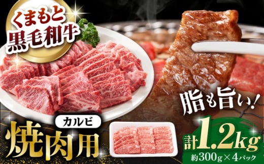熊本県産 黒毛和牛 カルビ 焼肉用 約1.2kg(約300g×4pc)【有限会社 九州食肉産業】 [ZDQ154]