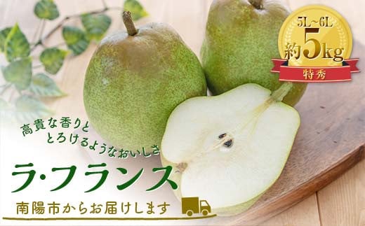 【令和6年産先行予約】ラ・フランス 約5kg (10～12玉 特秀 5～6L ) 《令和6年11月中旬～発送》 『田中農園』 ラフランス 西洋梨 洋なし 果物 フルーツ デザート 山形県 南陽市 [1979] 1135220 - 山形県南陽市