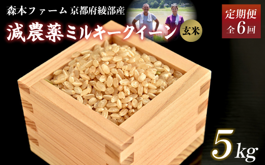 【定期便6回】【令和6年産】新米 減農薬ミルキークイーン 玄米 5kg 毎月お届け 6ヶ月【 定期便 米 ミルキークイーン 5キロ 5kg 玄米 こめ コメ お米 おこめ 減農薬 低農薬 農家直送 綾部 京都 森本ファーム 】 1545629 - 京都府綾部市