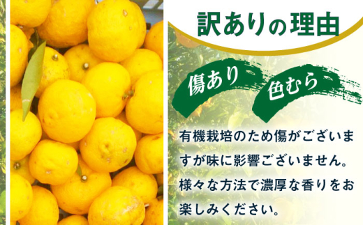 からたち（枳殻）の苗木農薬不使用実生苗800本セット