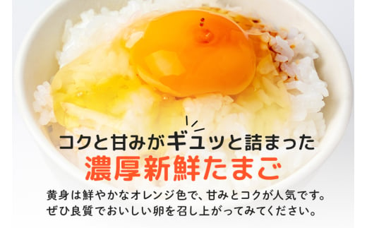 茨城県那珂市のふるさと納税 平飼いたまご ひまわりっこ 6個入り×4パック 計24個 １箱 卵 鶏卵 高品質 贈答 お歳暮 那珂市 国産 高級 安心 平飼い たまご 玉子 無選別 コク旨 濃厚 黄身 白身 地鶏 たまごかけごはんにぴったり