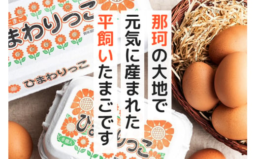 茨城県那珂市のふるさと納税 平飼いたまご ひまわりっこ 6個入り×4パック 計24個 １箱 卵 鶏卵 高品質 贈答 お歳暮 那珂市 国産 高級 安心 平飼い たまご 玉子 無選別 コク旨 濃厚 黄身 白身 地鶏 たまごかけごはんにぴったり