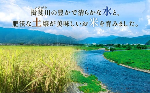 №5568-0182]定期便 全5回 岐阜県 揖斐郡産 令和6年 味のいび米 はつしも 10kg 1袋 お米 精米 白米 米 ごはん ご飯 ハツシモ  あっさり ブランド米 10キロ 大粒 幻の米 お取り寄せ 自家用 贈答用 贈り物 御礼 産地直送 送料無料 いび川農業協同組合【 揖斐川町 】｜ふるラボ