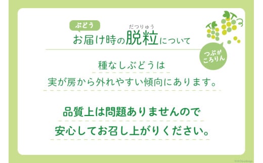 山梨県韮崎市のふるさと納税 【2025年発送】ぶどう シャインマスカット 約1.2kg (2房) [梨北農業協同組合 山梨県 韮崎市 20742921] フルーツ 果物 くだもの ブドウ 葡萄 種なし 1.2キロ 甘い 期間限定 季節限定 山梨県産