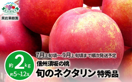 [No.5657-3881]信州須坂の桃 旬のネクタリン 特秀品 約2kg (約5～12玉) 《黒岩果樹園》■2025年発送■※7月上旬頃～9月上旬頃まで順次発送予定 1177646 - 長野県須坂市