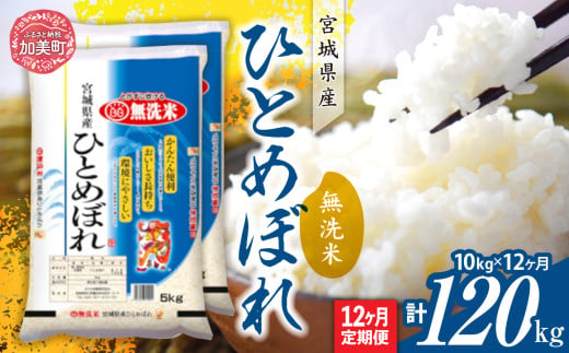 【定期便12回】令和6年産 宮城県産 ひとめぼれ 無洗米10kg(5kg×2）×12回   [ カメイ 宮城県 加美町 ]  お米 こめ コメ 精米 白米 ひとめぼれ | km00012-r6-10kg-12 1547668 - 宮城県加美町