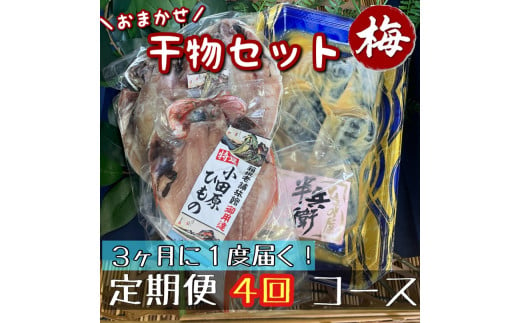 【3ヶ月に1回定期便4回】厳選！小田原の旬の干物セット 梅【 まぐろや 神奈川県小田原市 】 1720667 - 神奈川県小田原市