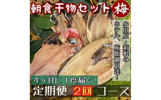 【4ヶ月に1回配送 定期便2回】小田原、箱根の旅館、ホテル御用達！朝食干物セット 梅【 まぐろや 神奈川県小田原市 】 1699437 - 神奈川県小田原市