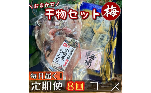 【毎月定期便8回】厳選！小田原の旬の干物セット 梅【 まぐろや 神奈川県小田原市 】 1720655 - 神奈川県小田原市