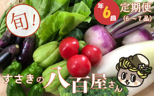 定期便 6回 旬 野菜 詰め合わせ セット 6 ～ 7品 数量限定 限定 セット やさい 送料無料 頒布会 ほうれん草 ブロッコリー ニンジン 人参 じゃがいも 白菜 キャベツ 小松菜 ピーマン ししとう タマネギ オクラ なす ネギ さつまいも 里芋 にんにく きゅうり しょうが 生姜 NK11000 1554673 - 高知県須崎市