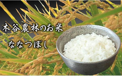 6-035-007　新米・増毛町産ななつぼし 5kg×3ヶ月（1月～3月）【木谷農林】 1444829 - 北海道増毛町