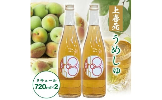 SA2430　酒田の酒屋厳選　上喜元 うめしゅ　720ml×2本