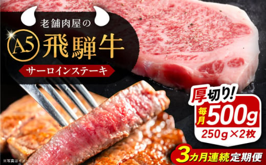 【3回定期便】 飛騨牛 サーロインステーキ (A5ランク) 250g×2枚 和牛 国産 霜降り 恵那市 / 岩島屋 [AUAJ027] 1546950 - 岐阜県恵那市