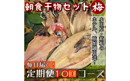 【毎月定期便10回】小田原、箱根の旅館、ホテル御用達！朝食干物セット 梅【 まぐろや 神奈川県小田原市 】 1699426 - 神奈川県小田原市