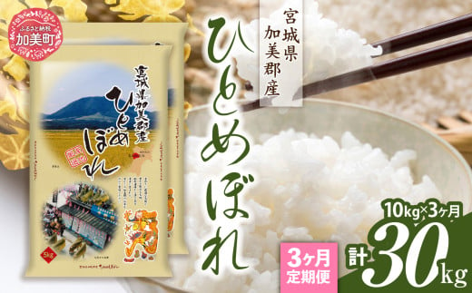 【定期便3回】令和6年産 宮城県加美産 ひとめぼれ 10kg(5kg×2）×3回 [カメイ 宮城県 加美町 ] お米 こめ コメ 精米 白米 | km00013-r6-10kg-3 1547670 - 宮城県加美町