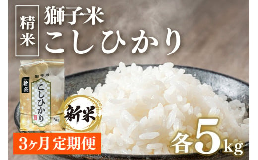 【定期便】獅子米 コシヒカリ精米5㎏ × 3か月 【令和6年産】 獅子米 コシヒカリ 精米 5kg コンテスト受賞米 お米 白米 米 おこめ ブランド米 こしひかり 5キロ 国産 単一原料米 コメ こめ ご飯 銘柄米 茨城県産 茨城 産直 産地直送 農家直送 ごはん 家庭用 贈答用 お取り寄せ ギフト 茨城県 石岡市 (B02-031) 1547219 - 茨城県石岡市