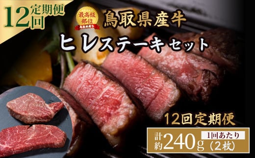 鳥取県産牛 ヒレステーキ 240g×12回定期便 国産 牛肉 赤身 ヒレ ステーキ 冷凍 定期便 肉 おすすめ 希少部位 ブランド牛 フィレ 倉吉市