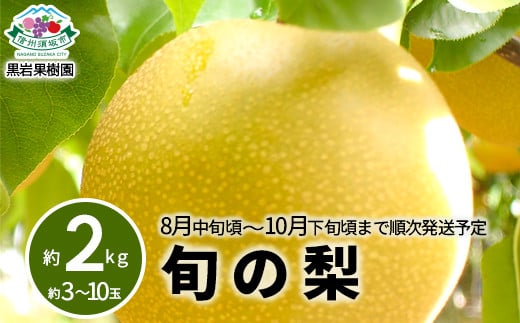 [No.5657-3882]旬の梨 約2kg (約3～10玉) 《黒岩果樹園》■2025年発送■※8月中旬頃～10月下旬頃まで順次発送予定 1177647 - 長野県須坂市