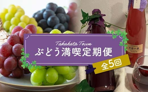 ≪定期便5回≫ 山形県 高畠町産 ぶどう満喫定期便 全5回 2024年11月上旬から順次発送 ぶどう ブドウ 葡萄 デラウェア 藤稔 ふじみのり 大粒 種なし 高級 くだもの 果物 フルーツ 秋果実 ギフト プレゼント 贈答 贈り物 食べ比べ 産地直送 農家直送 数量限定 F21B-313 1580978 - 山形県高畠町