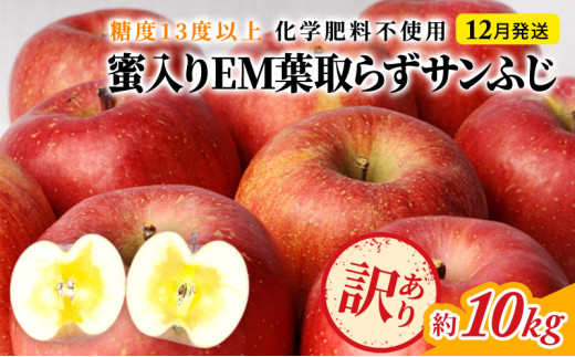 りんご 【 12月発送 】 訳あり 蜜入り EM 葉取らず サンふじ 約 10kg 糖度 13度以上 【 弘前市産 青森りんご 】 リンゴ 果物 青森 弘前 家庭用 684491 - 青森県弘前市