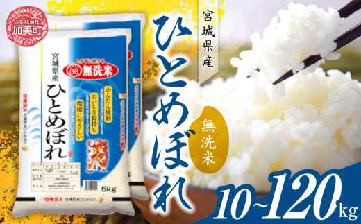 令和6年産 宮城県産 ひとめぼれ 無洗米10kg(5kg×2)定期便1回〜12回 [ カメイ 宮城県 加美町 ] お米 こめ コメ 精米 白米 ひとめぼれ | km00012-r6