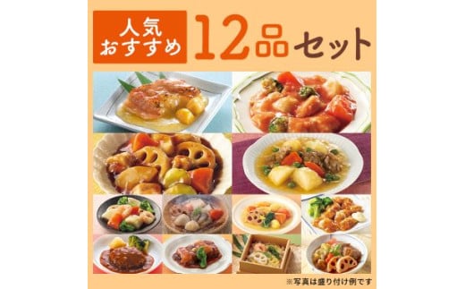 「 あいーと 」人気 おすすめ 12品 セット やわらか レトルト 食品 介護食 イーエヌ大塚製薬 岩手県 北上市 F0130 1183881 - 岩手県北上市