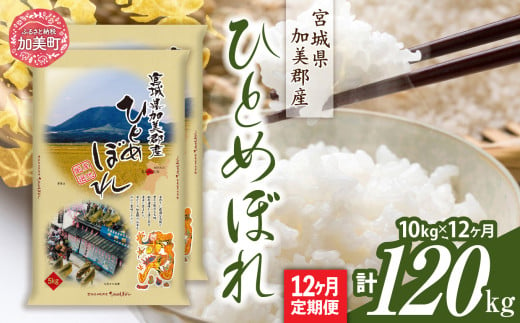 【定期便12回】令和6年産 宮城県加美産 ひとめぼれ 10kg(5kg×2）×12回 [カメイ 宮城県 加美町 ] お米 こめ コメ 精米 白米 | km00013-r6-10kg-12 1547673 - 宮城県加美町