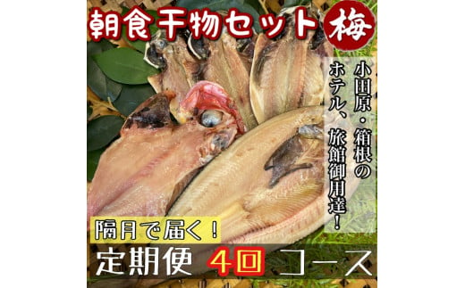 【隔月定期便4回】小田原、箱根の旅館、ホテル御用達！朝食干物セット 梅【 まぐろや 神奈川県小田原市 】 1699431 - 神奈川県小田原市