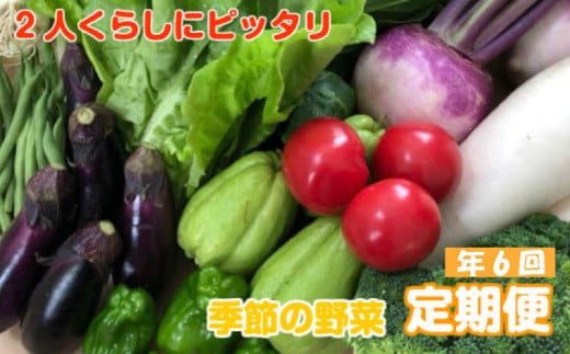 定期便 6回 9～10種類程度 2人暮らしにぴったり 南国土佐のお野菜食べきりサイズ セット 数量限定 限定 セット 詰め合わせ 季節 新鮮 産地直送 高知県 須崎市 頒布会 ほうれん草 ブロッコリー ニンジン 人参 じゃがいも 白菜 キャベツ 小松菜 ピーマン ししとう タマネギ オクラ なす ネギ さつまいも 里芋 にんにく きゅうり しょうが 生姜 NK10000 1554652 - 高知県須崎市