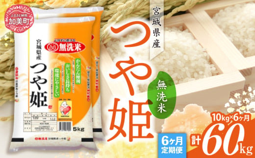 【定期便6回】令和6年産 宮城県産 つや姫 無洗米 10kg(5kg×2）×6回 [カメイ 宮城県 加美町 ] お米 こめ コメ 精米 白米 | km00014-r6-10kg-6 1547676 - 宮城県加美町