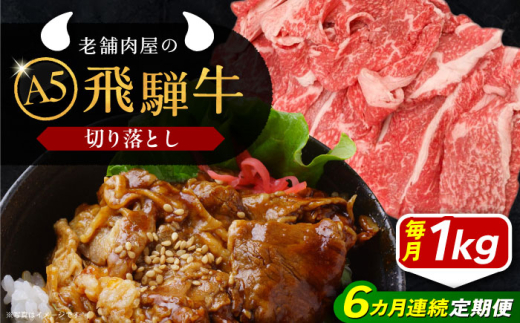 【6回定期便】 飛騨牛 切り落とし肉 A5ランク 1kg 和牛 国産 霜降り 恵那市 / 岩島屋 [AUAJ034] 1546957 - 岐阜県恵那市