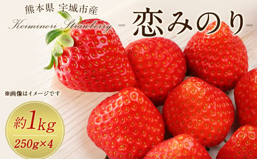 宇城市産 恋みのり イチゴ 4パック 約1kg【2025年2月上旬から3月下旬発送予定】苺 いちご イチゴ 恋みのり 1546725 - 熊本県宇城市