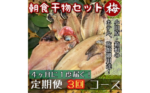 【4ヶ月に1回配送 定期便3回】小田原、箱根の旅館、ホテル御用達！朝食干物セット 梅【 まぐろや 神奈川県小田原市 】 1699438 - 神奈川県小田原市