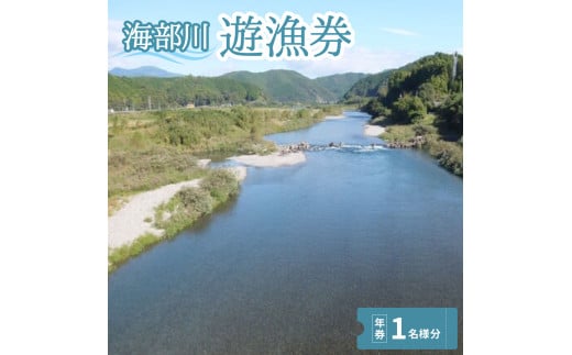 海部川漁協遊漁券  年券 １名分 アユ アマゴ 釣り 