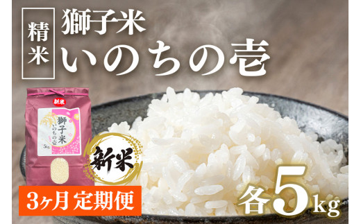 【定期便】獅子米 いのちの壱精米5㎏ × 3か月【令和6年産】獅子米 いのちの壱 精米 5kg コンテスト受賞米 お米 白米 米 おこめ ブランド米 5キロ 国産 単一原料米 コメ こめ ご飯 銘柄米 茨城県産 茨城 産直 産地直送 農家直送 ごはん 家庭用 贈答用 ギフト 茨城県 石岡市 (B02-032)