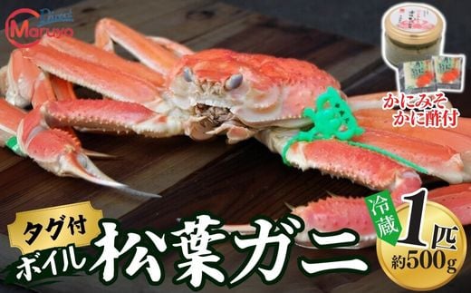 【ボイル松葉ガニ 1匹（約500g）かにの身入りかにみそ 三杯酢付 冷蔵】ご入金確認後、1ヶ月程度で配送予定 配送前に事前連絡いたします 香住･山陰沖で水揚げされた新鮮な松葉ガニを熟練の職人が茹で上げ カニの本場 香住 新鮮 国産 鍋 かにすき 脚 足 爪 身 肩 大人気 ふるさと納税 兵庫県 香美町 香住 柴山 ズワイガニ73000円 マルヨ食品 マルヨダイレクト 17-31