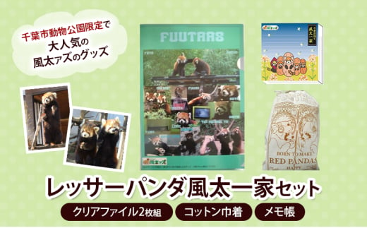 レッサーパンダ風太一家　セット（クリアファイル2枚組、コットン巾着、メモ帳） クリアファイル 巾着 メモ帳 風太 風太ァズ レッサーパンダ グッズ オリジナルグッズ セット 千葉市動物公園 千葉県[№5346-1011] 1548127 - 千葉県千葉市