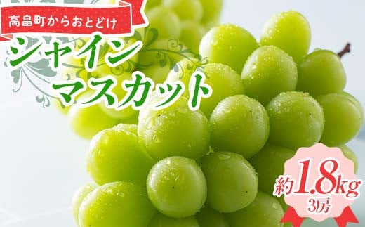 ≪2025年先行予約≫ 贈答用 山形県 高畠町産 シャインマスカット 約1.8㎏(3房) 2025年9月上旬から順次発送 ぶどう ブドウ 葡萄 マスカット 大粒 種なし 高級 くだもの 果物 フルーツ 秋果実 産地直送 農家直送 数量限定 F21B-312 1565229 - 山形県高畠町