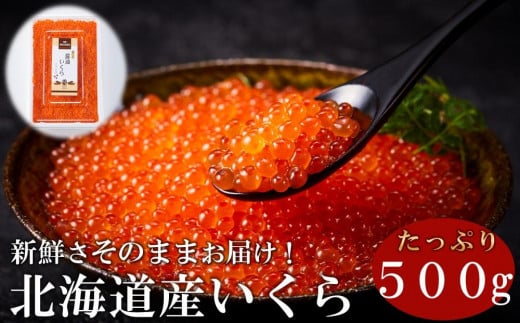 いくら醤油漬け　500g　パック イクラ しょうゆ漬け サケ さけ しゃけ シャケ 海鮮丼 魚介 魚卵 北海道 生産者 支援 応援	 1545941 - 北海道羅臼町