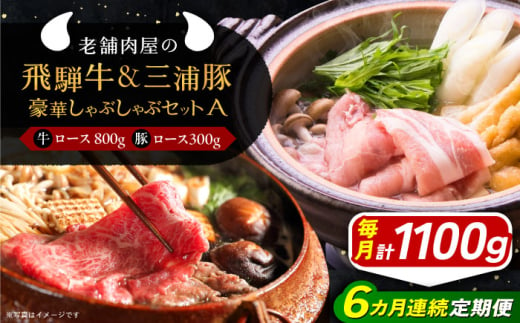 【6回定期便】 飛騨牛ロース800g 三浦豚ロース300g 豪華しゃぶしゃぶセットA 和牛 国産 霜降り 恵那市 / 岩島屋 [AUAJ046]